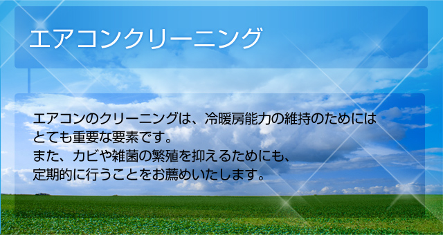 株式会社ケーズブレインズ
