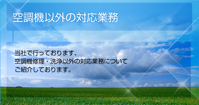 株式会社ケーズブレインズ